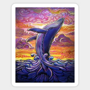 Blue Whale breaching at sunrise Sticker